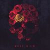 MUCC[????? [CD+DVD] []