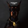 DOBERMAN INFINITY[?t SONG