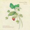 Akino Arai[?tanical Note [WPbgdl]