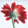 SUPER BEAVER[?????[???B? [Blu-ray+CD] []