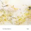 Tobias Wilden[?Yudai Suzuki[?igins [WPbgdl]