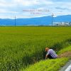 ????????????????HOKURIKU [WPbgdl]