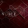?????㰎?VOICE-REBORN II-
