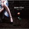 ???䄷[?w rise