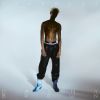 Danny Brown[?ardust