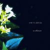 The Florist[??a[?estheticism