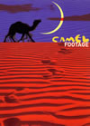 ??c?<????c?<????????c? [DVD]