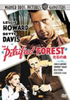 ????M ????('36P? [DVD]