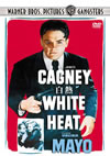 ?? ????('49P? [DVD]