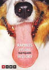 ??????RHAPHLES VISUAL HISTORY [DVD]