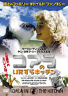 ?????????????????? [DVD]