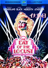 ???????'75P???2006X???31??????????M????? [DVD]
