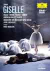 ???????????????? [DVD]