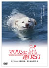 ????????????? [DVD]