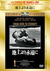 ??????㮌????'53P???2006X???31??????????M????? [DVD]