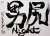 Janne Da Arc[? Night??2006X???31??????????M????? [DVD]