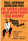 ?????C? ????('62P? [DVD]