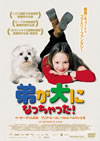 [???????c?<???c??[?('04?? [DVD]