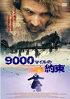 9000????????('01????2006X?0??31??????????M????? [DVD]