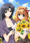 SHUFFLE[? episode.9 [DVD]