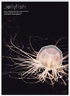 Jellyfish ?????????? ??? [DVD]
