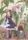 ????????????????????????(5) [DVD]