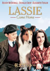 ?????????MN('43P???2006X?1??2??????????M????? [DVD]