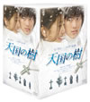 C??䄷 DVD-BOX??6??T??? [DVD]