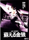 ???????????2007X???26??????????M????? [DVD]