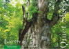 ????????? ???????????c??? QUIET SLEEP [DVD]