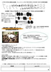 ???????????[????????????????????? ?????????????????????? [DVD]