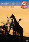 ????[?????? VOL-2??????? ????????? [DVD]