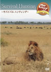 ????[?????? VOL-3??????????????c???? [DVD]