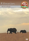 ????[?????? VOL-5?????????c??? [DVD]