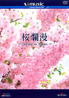 V-music ???㺆??Spring in Japan?? [DVD]