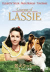 ??????????????????('46P???2007X???8??????????M????? [DVD]