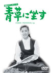 ???????????? ????????? [DVD]