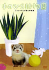 ??????????? ????????????Q???? [DVD]
