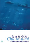 ?<??????? ?W?]???㳌??????]? [DVD]