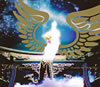 T.M.Revolution[?M.R.LIVE REVOLUTION'06-UNDER[?COVER- [Blu-ray]