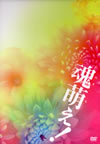 L?????[? [DVD]