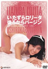 ???????????? ]???????????? [DVD]