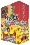 ????? DVD-BOX??4??T??? [DVD]