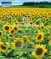 V-music ???Scenery with Flowers?? [Blu-ray]