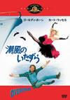 㻇灦?????????('87P??????????i??M??? [DVD]