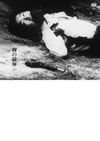 䡌???[ [DVD]