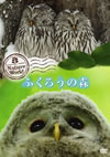 ??????c??????? ???????M [DVD]