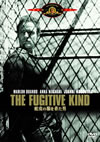 ??????????????'60P? [DVD]