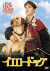 ??????????'94P??????????i??M??? [DVD]