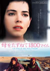 ??????????800?????'01??????????????? [DVD]